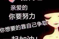 智絡會員管理系統如何代理？