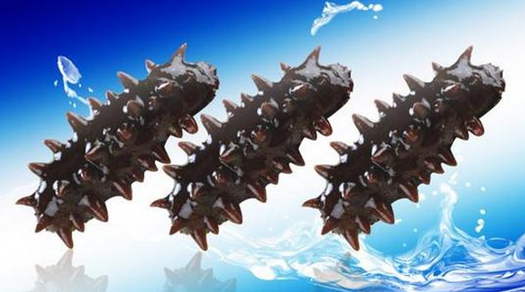 長(zhǎng)島縣長(zhǎng)山海珍品有限責(zé)任公司