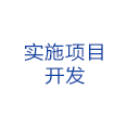 實施項目開發(fā)